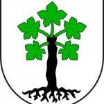  Wappen Trun GR 