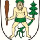  Wappen Grabs SG 