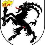  Wappen Igis 