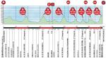 Baskenland-Rundfahrt, Etappe 4 - Traditionelles Finale in Eibar hnelt dem von gestern
