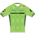 Tour de France: Neuer Cannondale-Leader Rolland hat es auf Gesamtwertung und Etappensieg abgesehen (Bild: UCI)