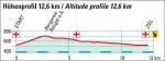 Hhenprofil Nationale Meisterschaften Schweiz 2017 - Straenrennen, Rundkurs Mnner