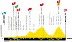 Höhenprofil Tour de France 2021 - Etappe 11