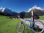  Mit Mountainbike gegen Baum geprallt (Symbolbild) 