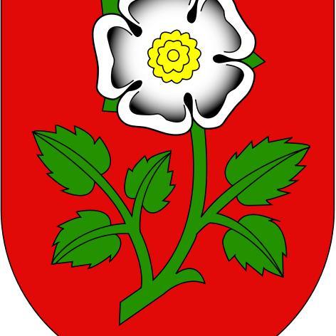  Wappen Uznach SG 