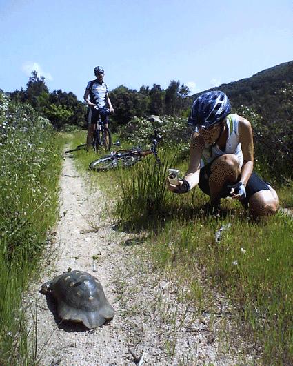 Sardinien mit Haut, Haar und Schildkrte erleben