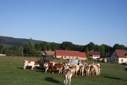 Landwirtschaft im westlichen Jura