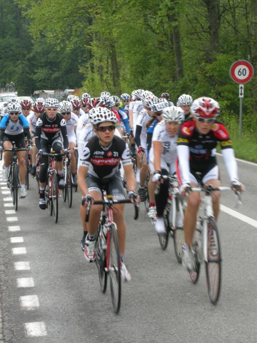 Hauptfeld der Berner Rundfahrt (Foto: bike-import.ch)