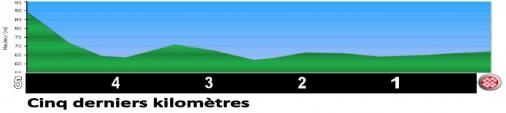 Hhenprofil Grand Prix de la Somme Conseil Gnral 80 2010, letzte 5 km