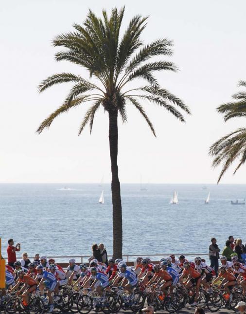 Mallorca Challenge: Peloton an der Strandpromenade von Palma