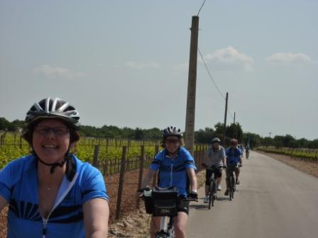 Die Radwanderer auf dem Weg zur Weinprobe