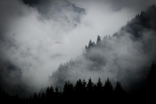 Scott11s WM Tagebuch: Das Finale - Nebel verhllt die Berge (Foto: Sven Martin)