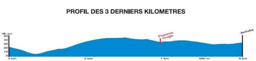 Höhenprofil Classic Loire Atlantique 2012, letzte 3 km