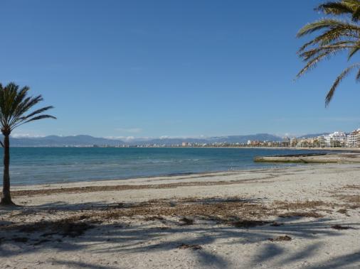 Strand an der Playa de Palma