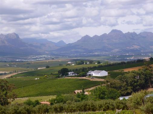 schner Panoramablick ber die Rebberge von Stellenbosch