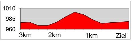 Höhenprofil Tour de Suisse 2013 - Etappe 1, letzte 3 km