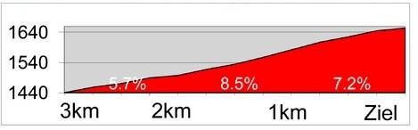 Höhenprofil Tour de Suisse 2013 - Etappe 2, letzte 3 km