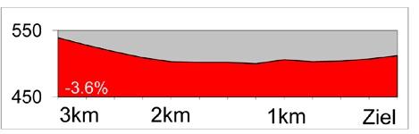 Höhenprofil Tour de Suisse 2013 - Etappe 8, letzte 3 km