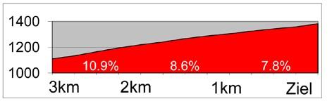 Hhenprofil Tour de Suisse 2013 - Etappe 9, letzte 3 km
