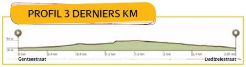 Höhenprofil Tour de l´Eurométropole 2013 - Etappe 1, letzte 3 km
