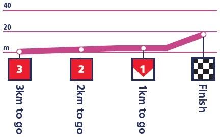 Hhenprofil The Womens Tour 2014 - Etappe 1, letzte 3 km