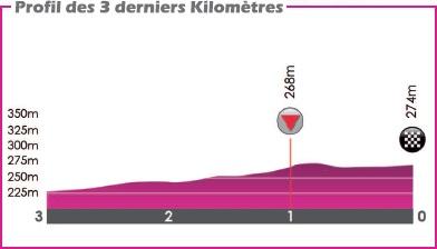Hhenprofil VOO-Tour de Wallonie 2016 - Etappe 1, letzte 3 km