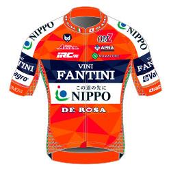 Trikot Nippo  Vini Fantini (NIP) 2017 (Bild: UCI)