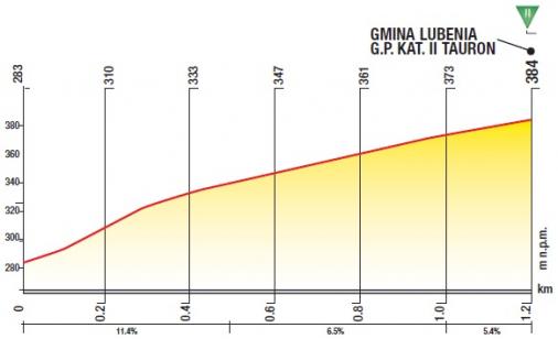 Hhenprofil Tour de Pologne 2017 - Etappe 5, Gmina Lubenia (2. Passage)