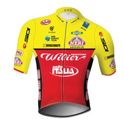 Trikot Wilier Triestina - Selle Italia (WIL) 2018 (Bild: UCI)