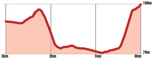 Höhenprofil Ronde van Limburg 2018, letzte 3 km