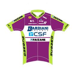 Trikot Bardiani CSF Faizan (BCF) 2020 (Quelle: UCI)