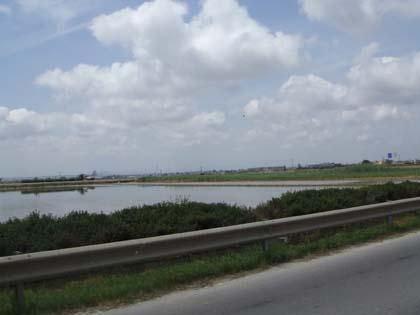 An den Reisfeldern von Albufera vorbei Richtung Valencia