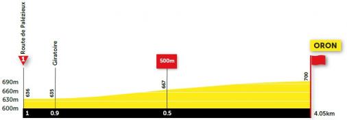 Höhenprofil Tour de Romandie 2021 - Prolog, letzte 3 km