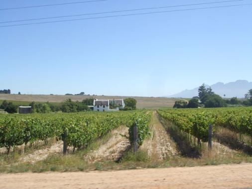 Wineroute Stellenbosch