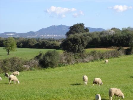 Blick auf San Salvador