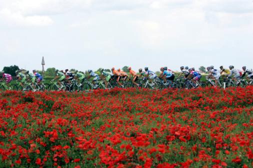 Feld, Mohnfeld,  91. Giro d\'Italia, 12. Etappe, Foto: Sabine Jacob