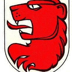  Hattenhausen TG: Velofahrer von Autolenker bersehen - mit Rega ins Spital (der Velofahrer) - Bild: Wappen Wldi TG 